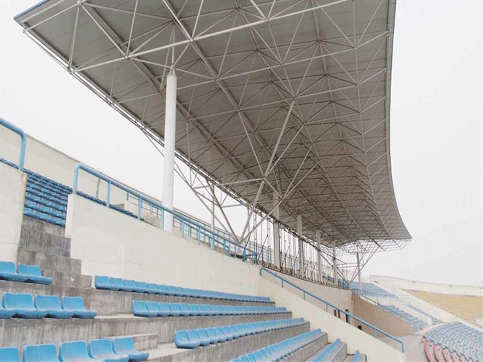 瑞安四小体育馆网架